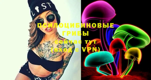 PSILOCYBIN Аркадак