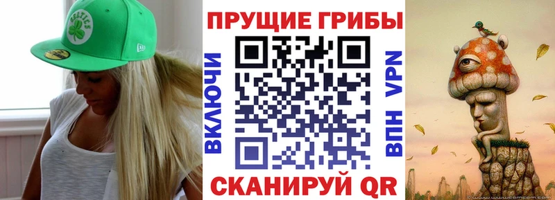 Псилоцибиновые грибы ЛСД  где купить наркоту  гидра зеркало  Феодосия 